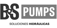 BSP