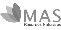 MAS